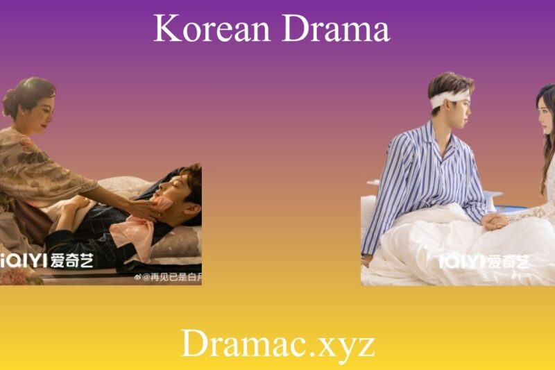 Fall Again for Love in the Moonlight: Full Cast, Story & Where to Watch