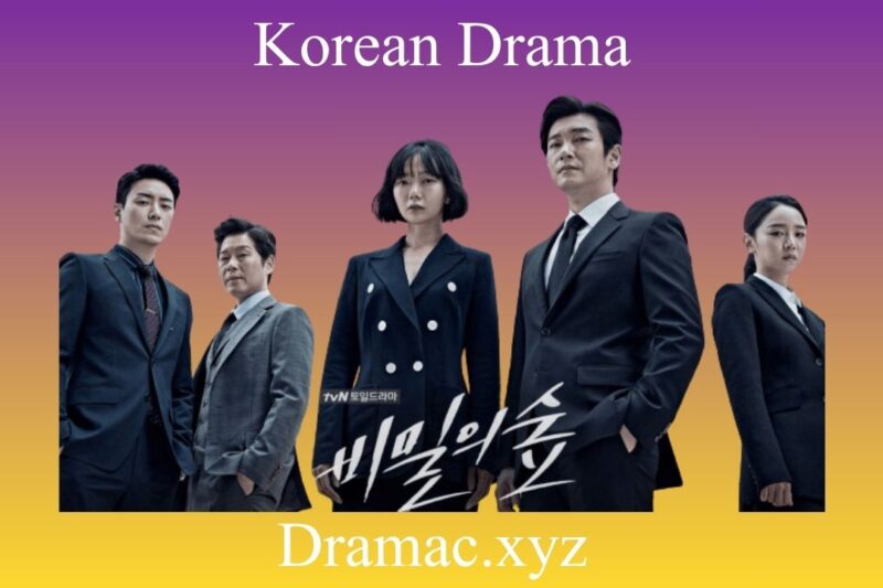 Stranger (Secret Forest): Why This K-Drama Still Impresses in 2025