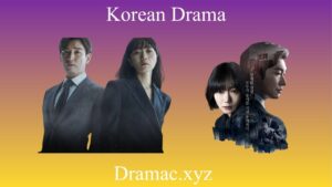 The Real Meaning Behind Stranger (Secret Forest) | K-Drama Breakdown