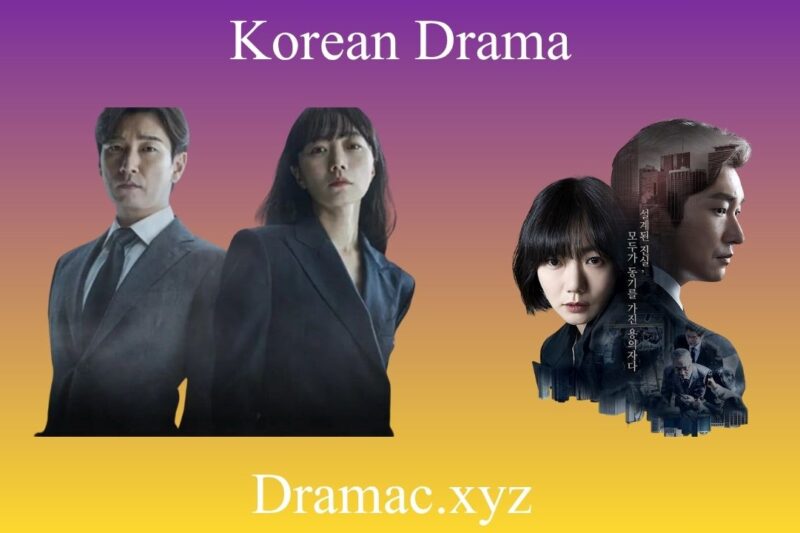 The Real Meaning Behind Stranger (Secret Forest) | K-Drama Breakdown
